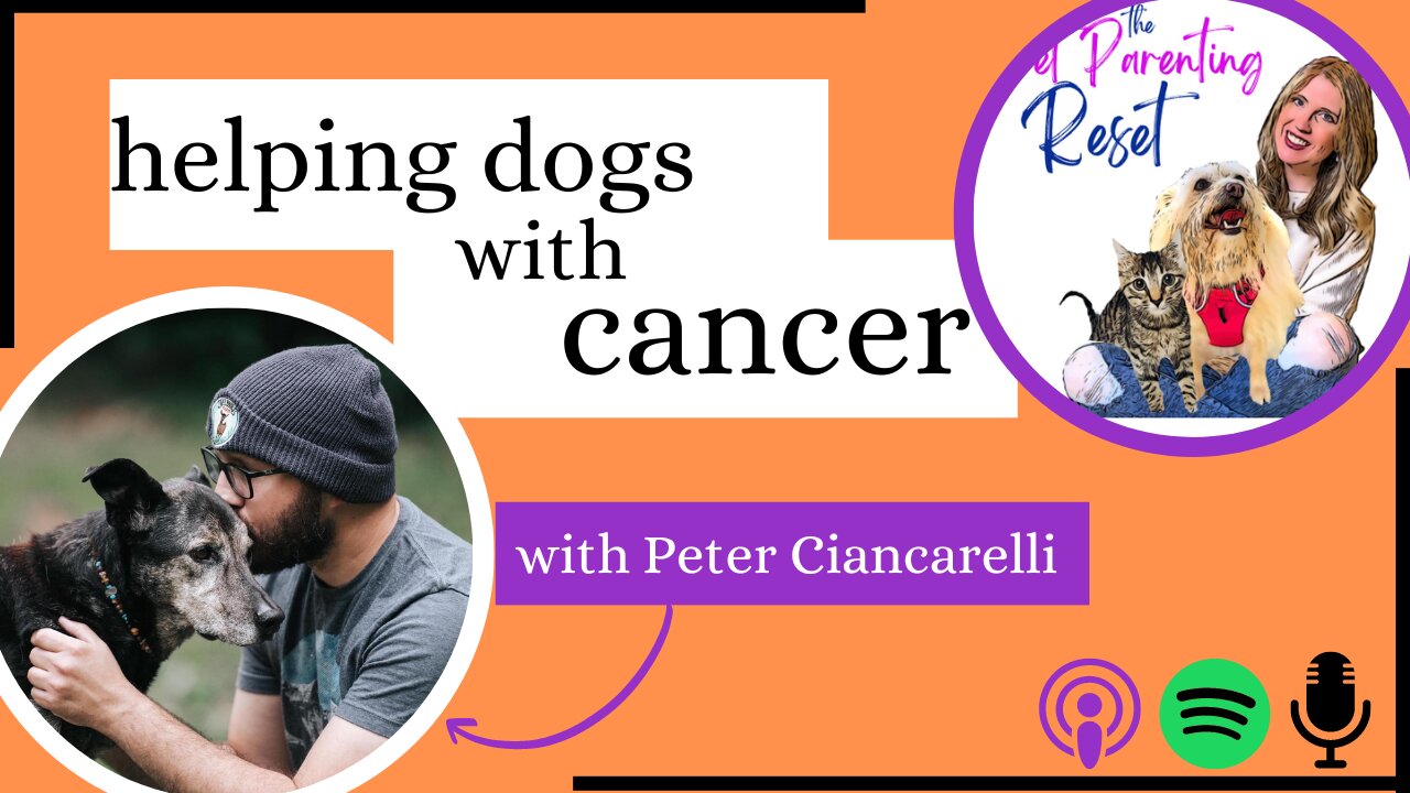 Helping Pets and their parents with Cancer