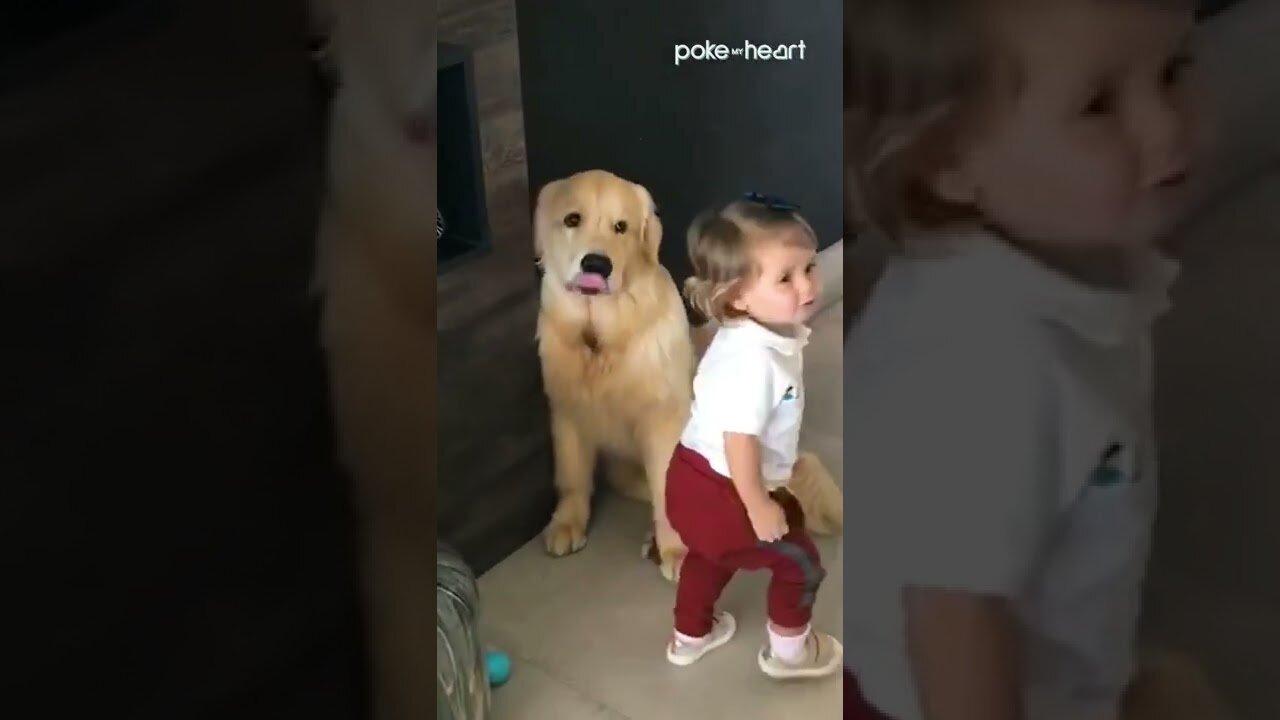 Toddler Gives Dog a Hug Before Going to School | Shorts