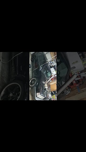 I can't afford the attention. #shorts