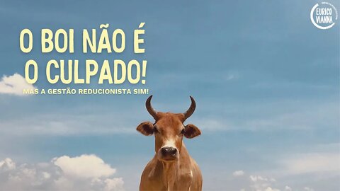 O BOI NÃO É O CULPDO!