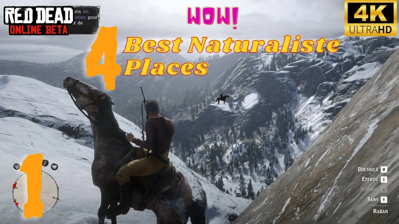 red dead online 2022 | Best Naturaliste Places