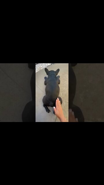 Let me spank that butt 🤣