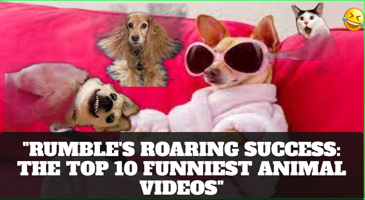 "Rumble's Roaring Success: The Top 10 Funniest Animal Videos"