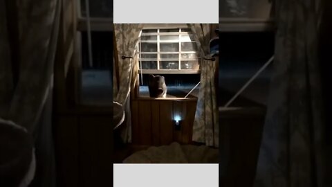 Hello There ☺️😄