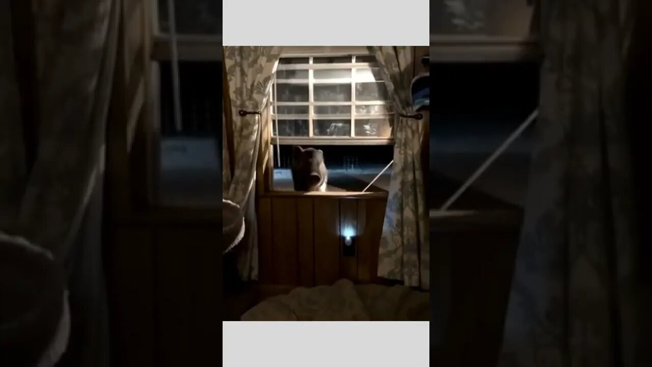 Hello There ☺️😄