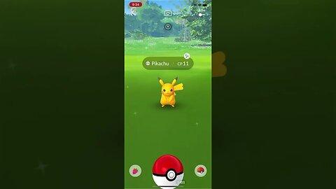 Shiny Compilation