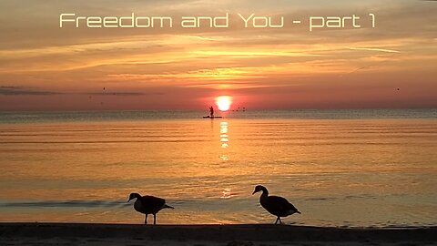 Freedom and You.