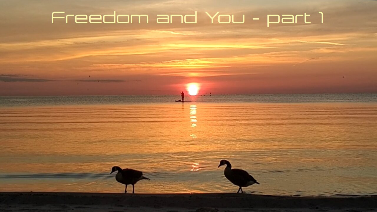 Freedom and You.