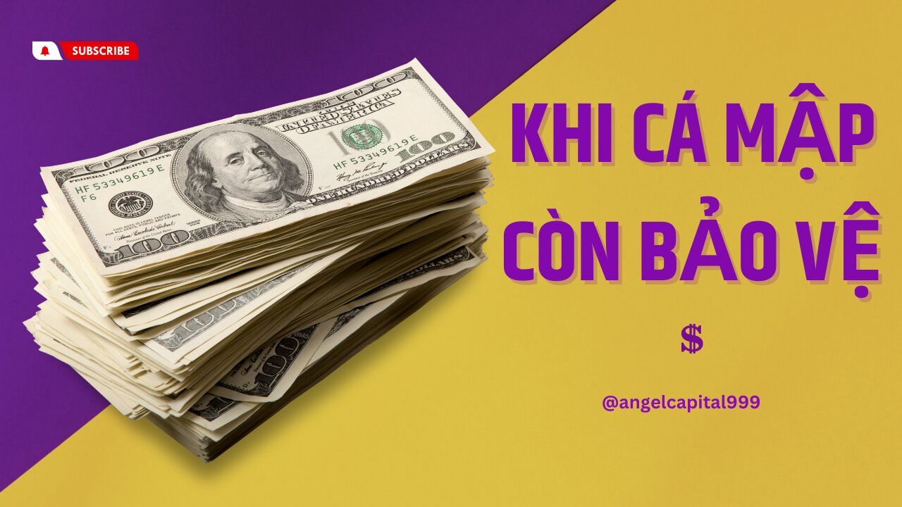 Khi cá mập còn bảo vệ hỗ trợ kháng cự | Trading | Angel