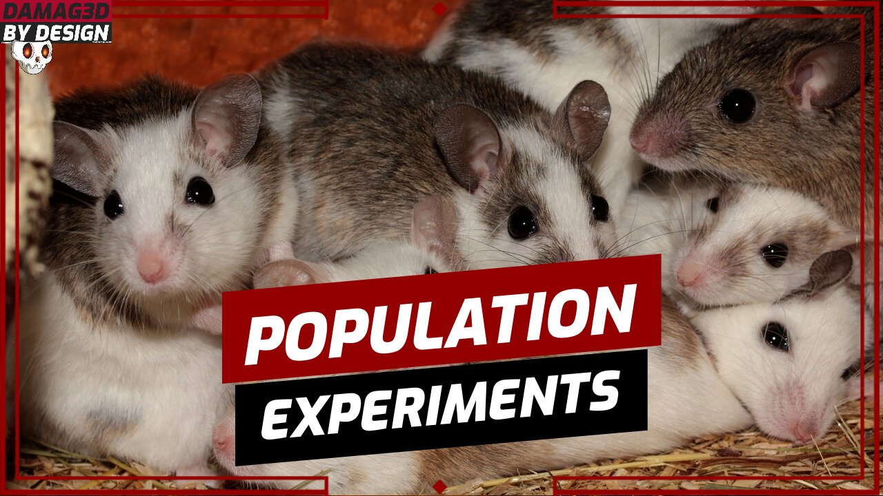What You Should Know About SOCIAL EXPERIMENTS and the CALHOUN MOUSE UTOPIA