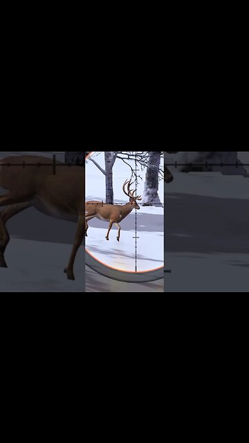 Hunting Coyotes #354 #elk #shorts #dog #animals #hunter #hunting #ytshorts #dog #coyotes #wildlife