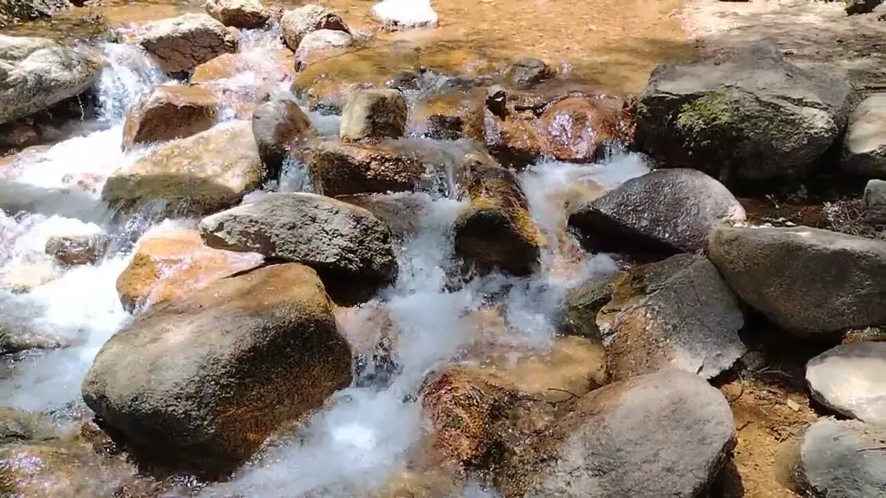 Rapids!