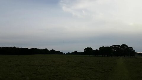 Two Chinook helicopters flying overhead. Richmond Park, London.