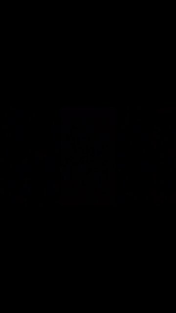 Thanksgiving dinner with biz 101