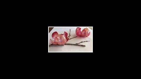 Onion Peel Flower 2