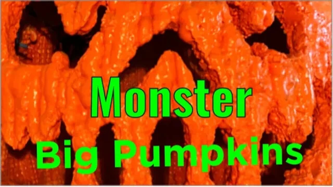 Giant Pumpkins over 1 ton Michigan Grown