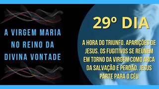 29º Dia | Livro "A Virgem Maria no Reino da Divina Vontade" #litcatolica