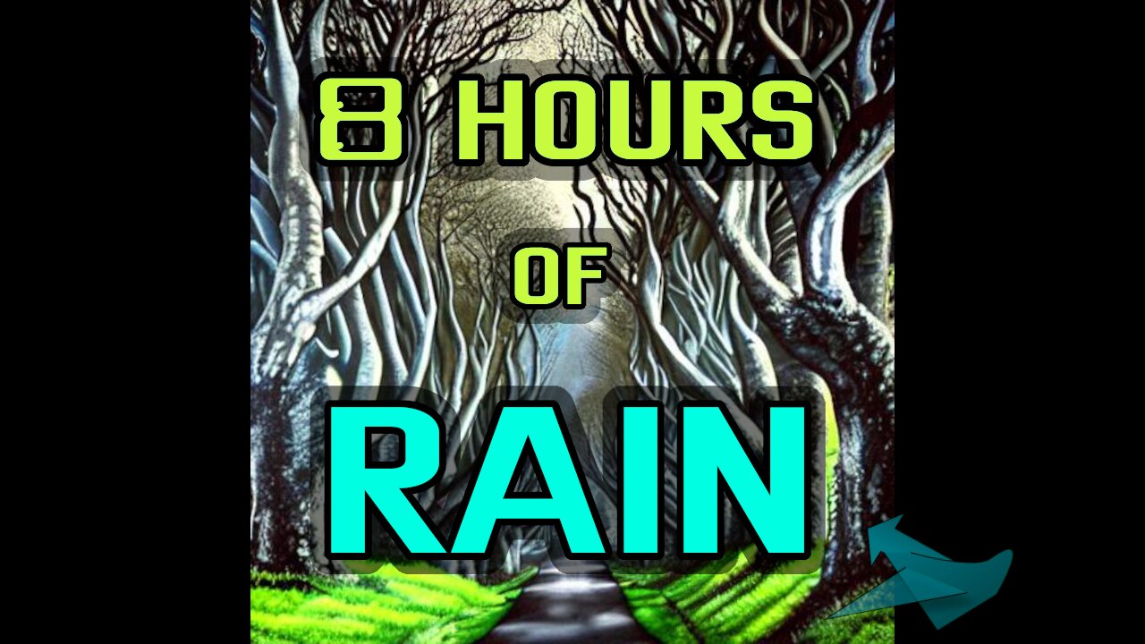 THE SOUND OF RAIN - 8 HOURS [ #006 ] 🐝