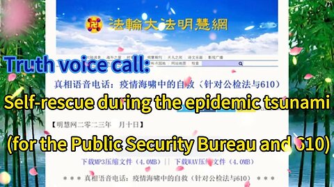 真相语音电话：疫情海啸中的自救（针对公检法与610）Truth voice call: Self-rescue during the epidemic tsunami (for the Public Security Bureau and 610) 2023.01.10