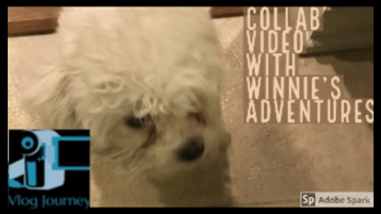 Collab Video With Winnie's Adventures