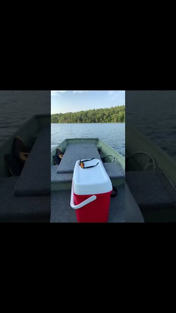 Summers hot and waters wet