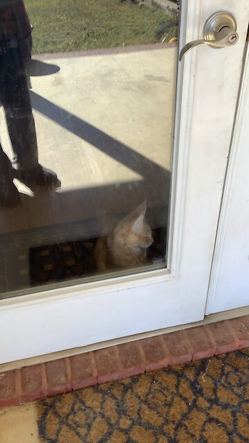 Beautiful Arkansas Day