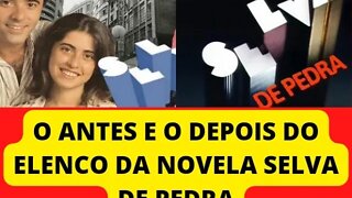 O ANTES E O DEPOIS DO ELENCO DA NOVELA SELVA DE PEDRA, VEJA COMO ESTÃO HOJE