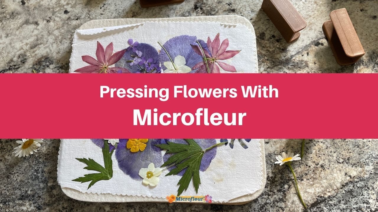 The Microfleur microwave flower press presses flowers in minutes.