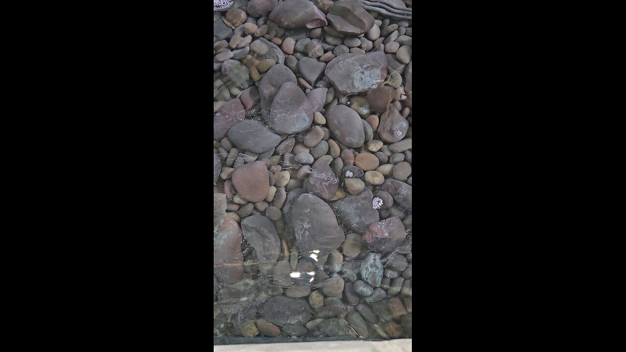 Relax 😌 and breathe