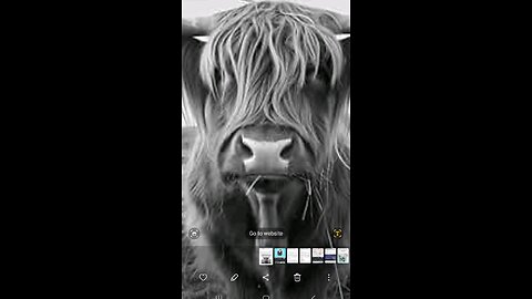BIGEARTHER part4 Alien Animal Avatars Avatars