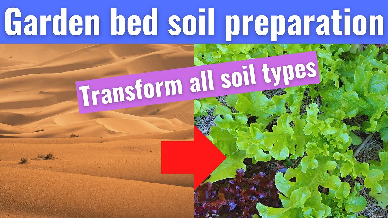 Garden bed soil preparation - improve soil quality