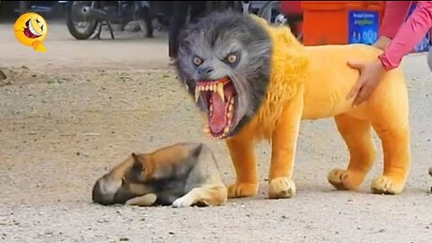 Animal Funny Reaction on Fake Lion