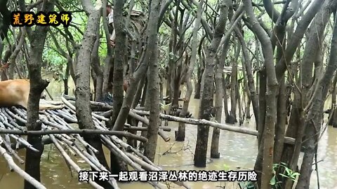 2: The Amazonian swamp forest, the environment is so harsh that people s scalp is numb
