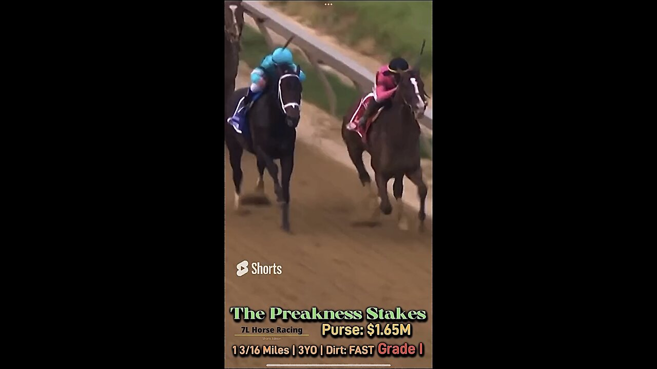 The Preakness Stakes 2019 -G1