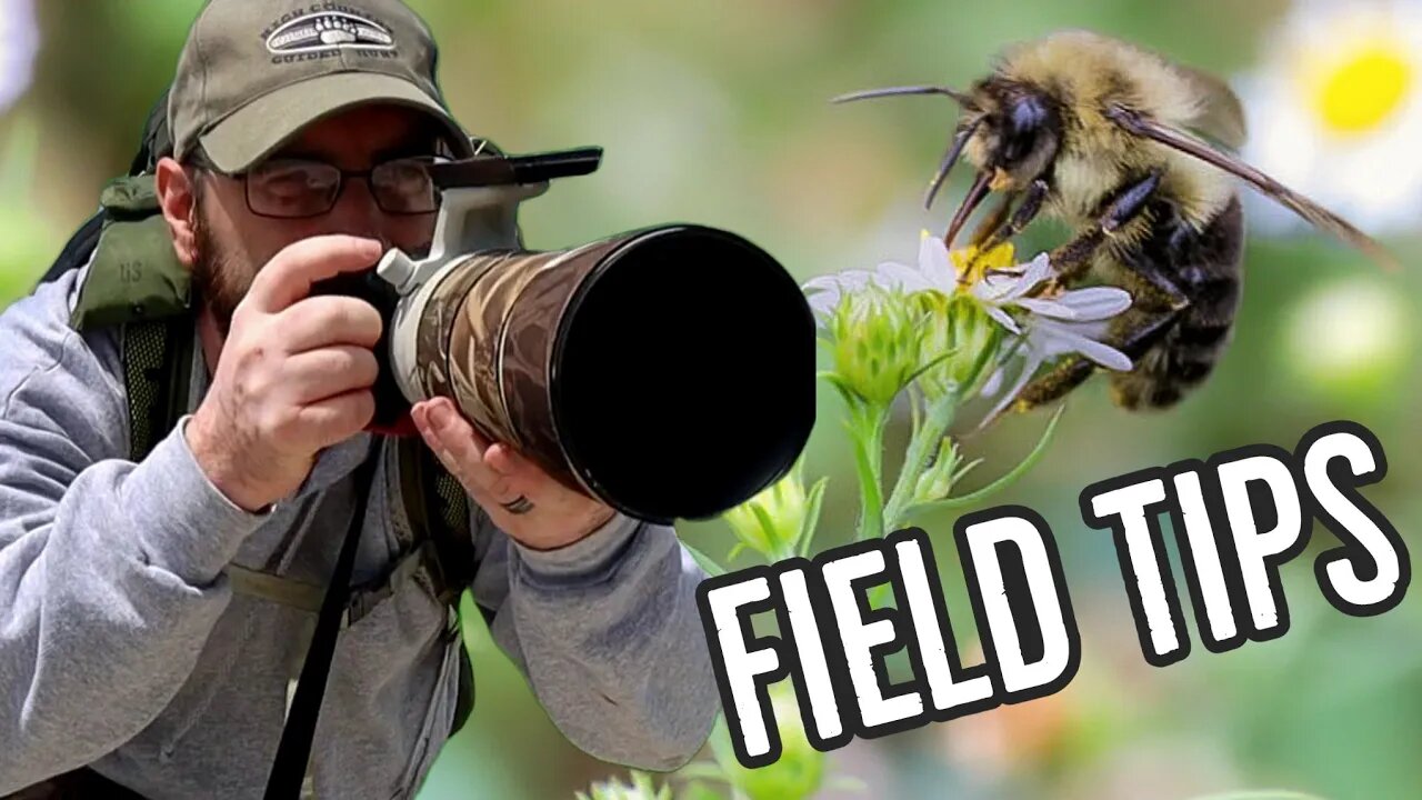 TWO Wildlife Photography tips for BEGINNERS to better your field skills