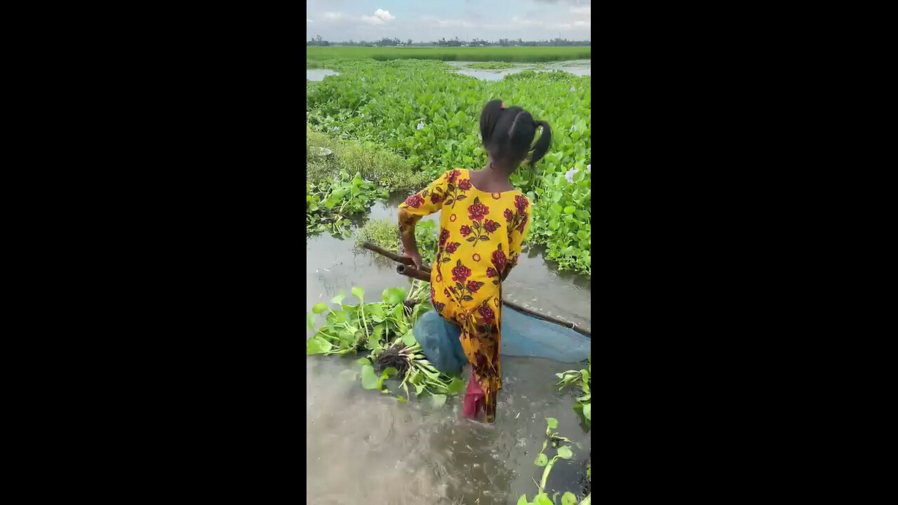 মাশাআল্লাহ কত সুন্দর মাছটি পেয়েছে মেয়েটি।