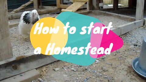 How to start a homestead