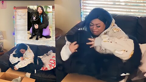 Man Surprises Wife with Plushie of her Past Dog || Axelkec