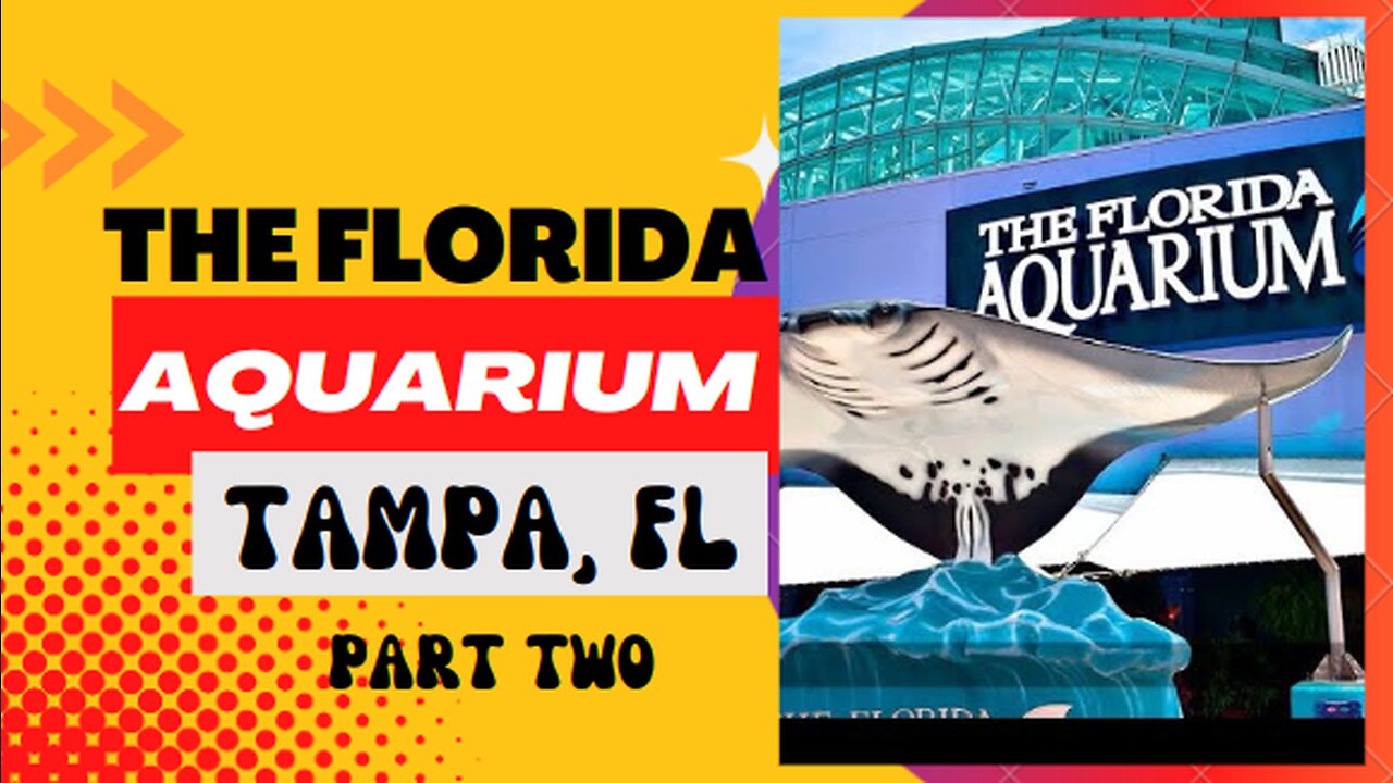 Places to go: The Florida Aquarium (Part Two), Tampa, FL