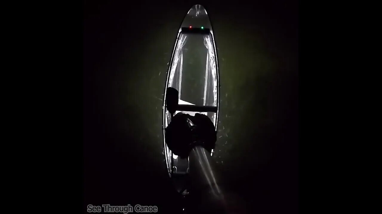 Stingray at Night