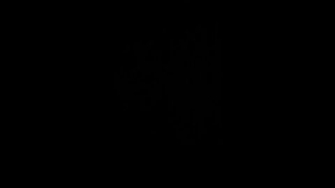 Pandemic of the vaccinated