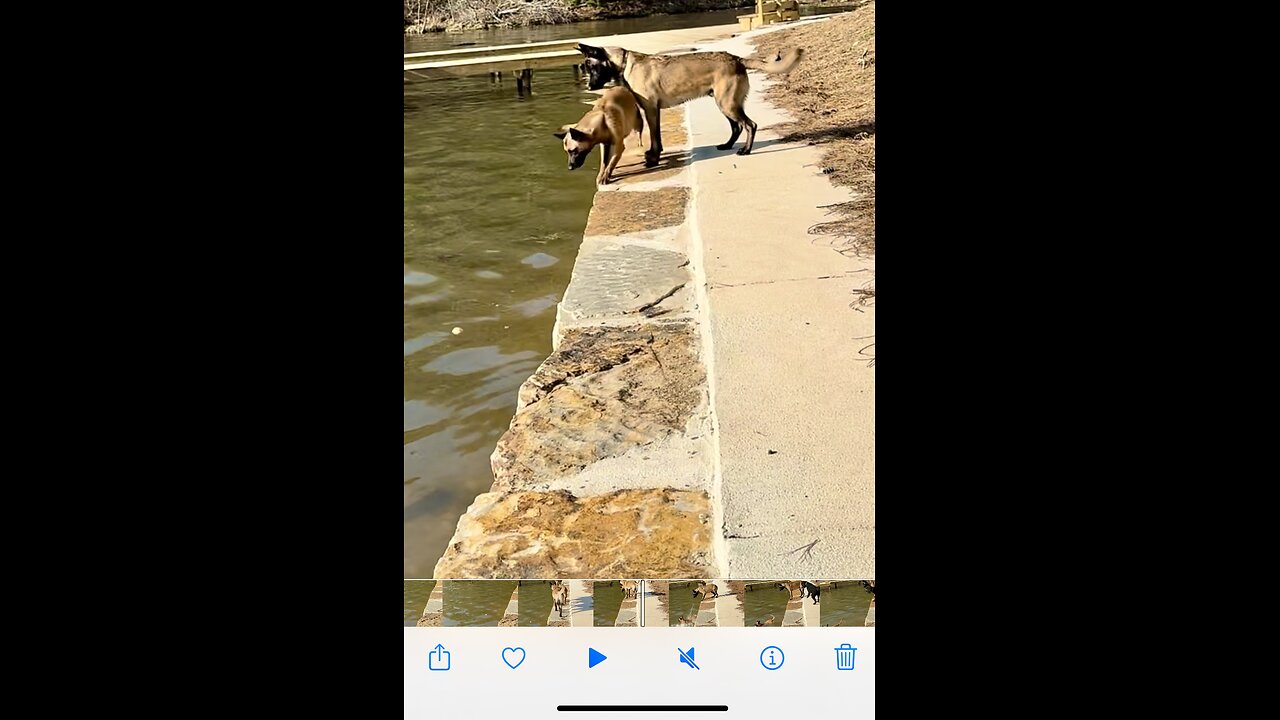 Cowboy pushes Peaches off of the sea wall.