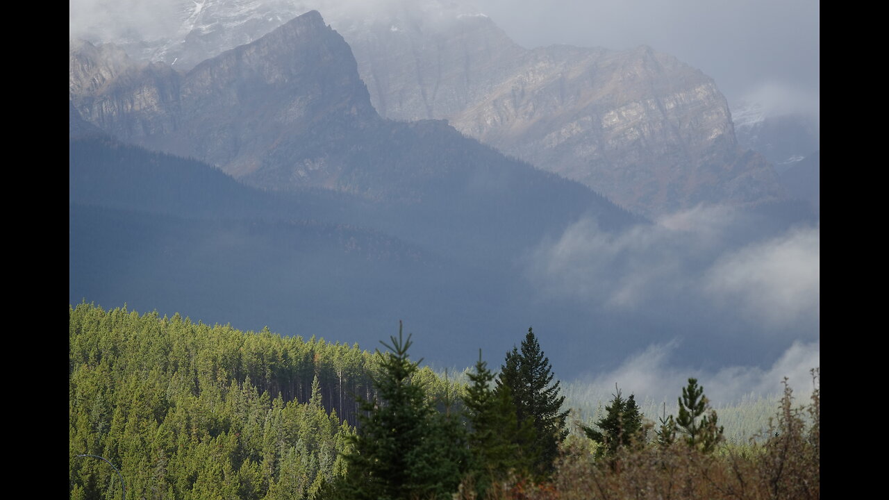 Searching for Signs of Sasquatch in the Canadian Rockies