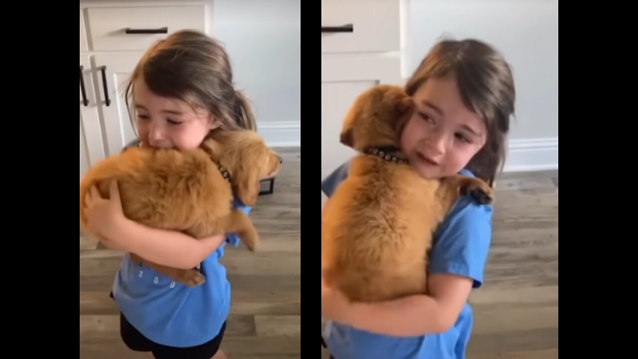 Little Girl Sobs As She Holds Her New Cute Puppy