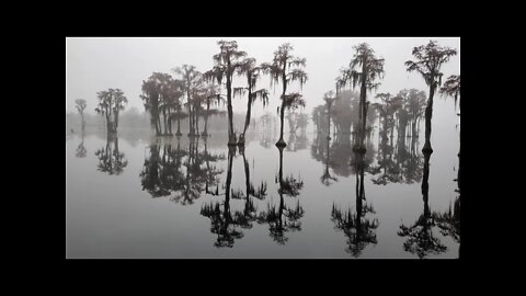 Foggy Morning at Banks Lake - Winter 2021