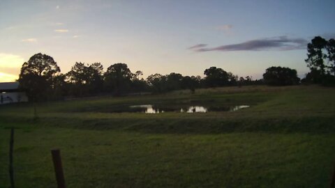 Friday Night At Venus Ranch.