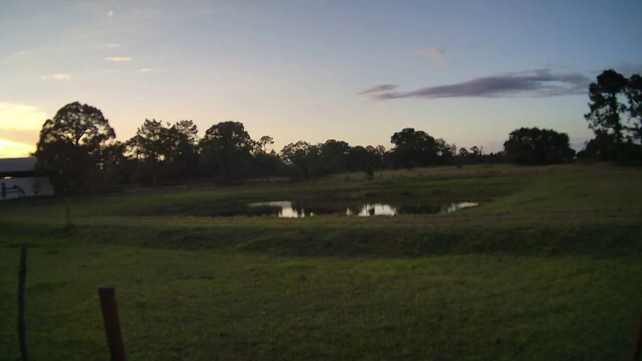 Friday Night At Venus Ranch.