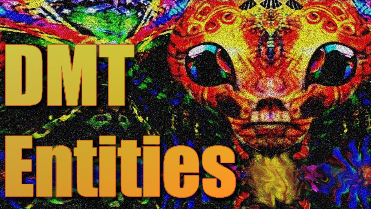 5 DMT Entities