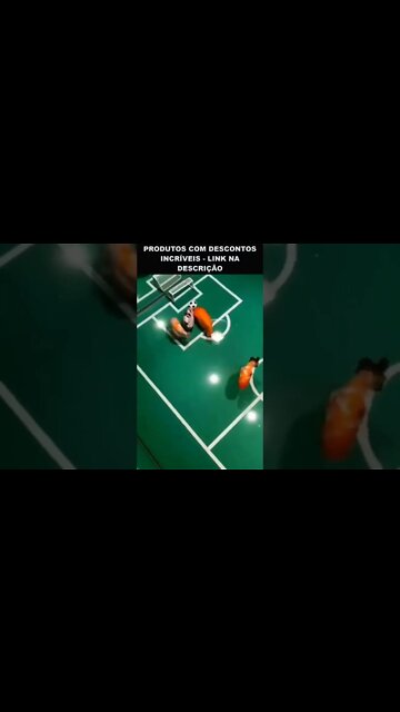 esses peixes jogam futebol