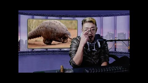 收中国大熊猫要每年100万保护费 台湾穿山甲免费 21211213_E164